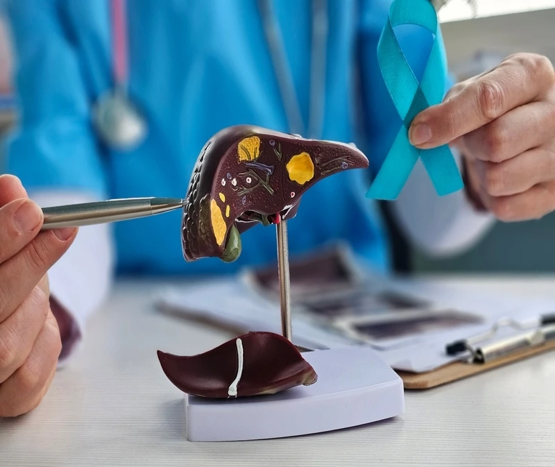 Tudo sobre câncer no fígado